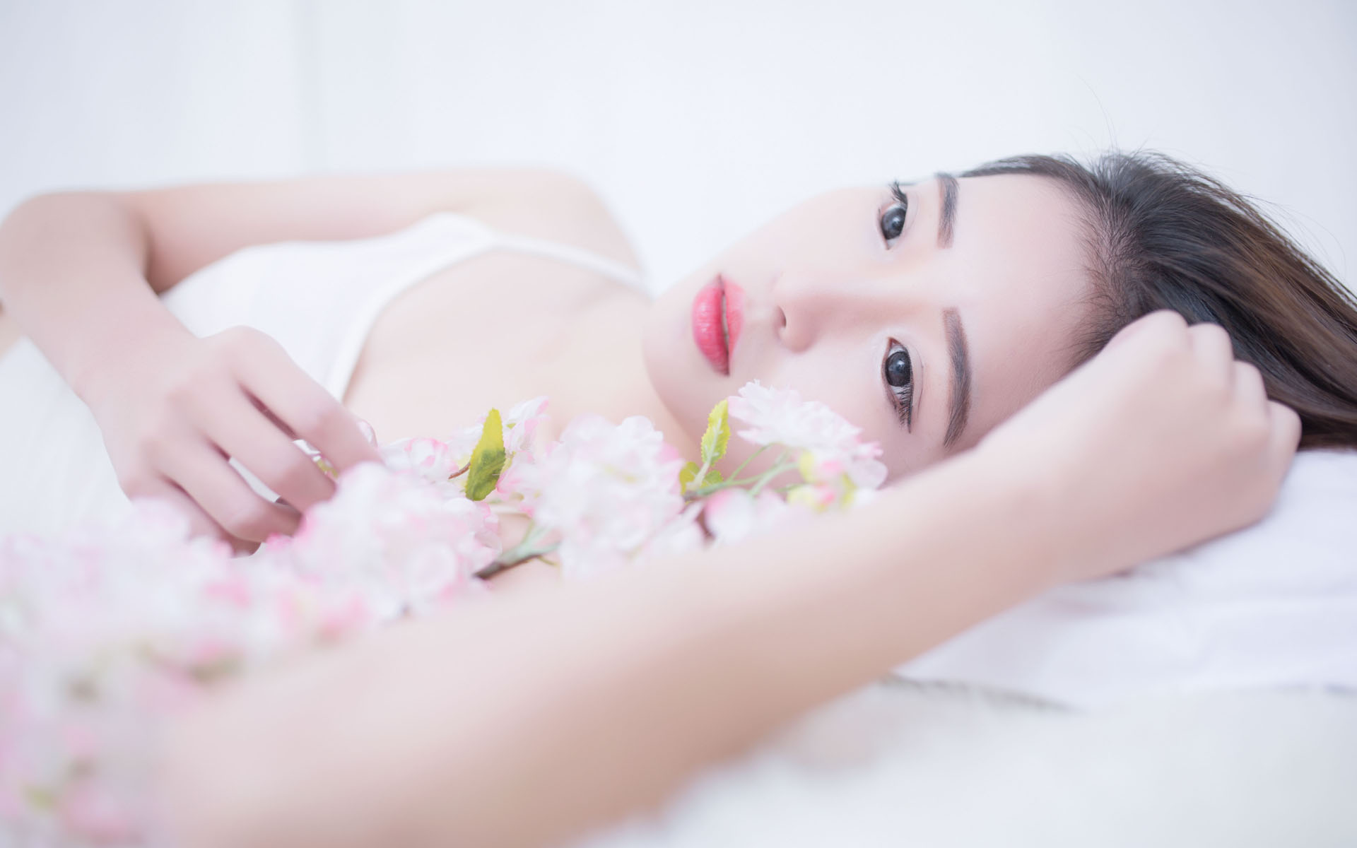 澳门特区立法会选管会依法对第八届立法会选举候选人的被选资格作出决定